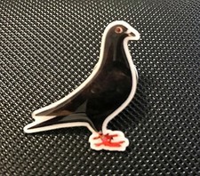 Racing homing pigeon breeder - homing,