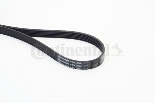 Ribbed belt contitech - v-ribbed,
