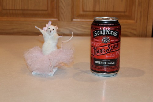 Taxidermy ballerina mouse - ballerina,