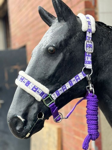 Headcollar and lead - and, rope