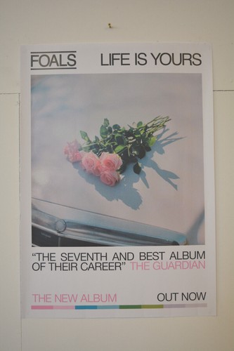 Foals life yours 2022 - is, rare