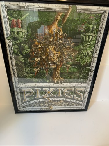 The pixies poster screen - the,
