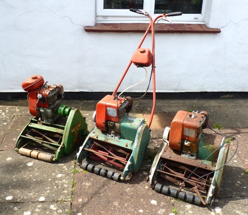 Reduced vintage suffolk colt - 3,