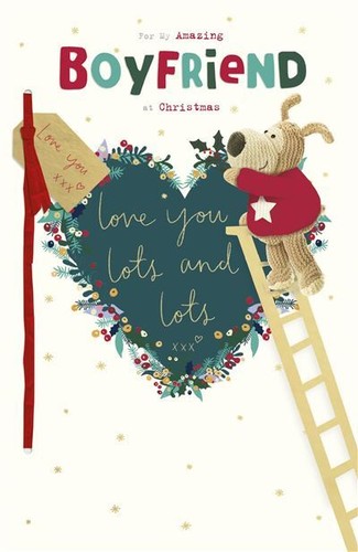 Boofle standing ladder - on,