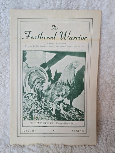 Vintage the feathered warrior - ,