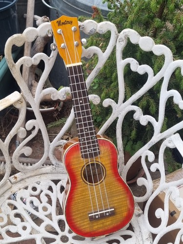 Monterey deluxe sunburst - monterey,