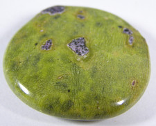 LARGE ATLANTISITE PALMSTONE -