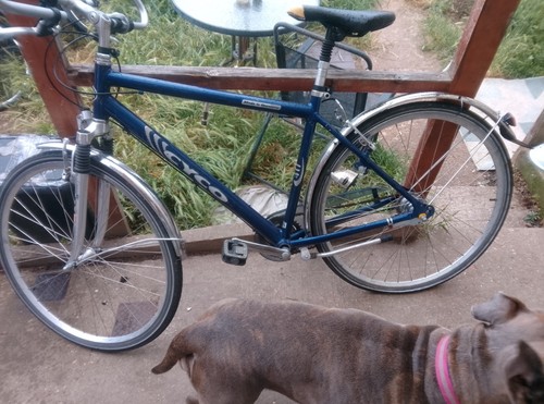 Silver blue cyco mountain bike - silver,