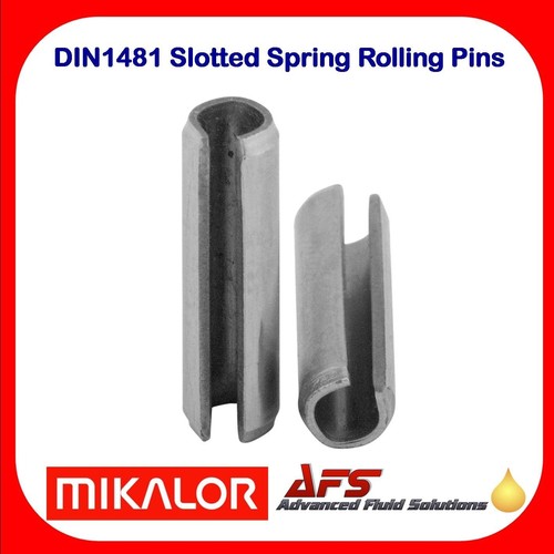 Din 1481 slotted - din,