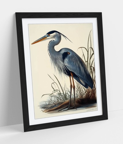 Great blue heron bird - great,
