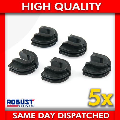 For t4 transporter - 5x,