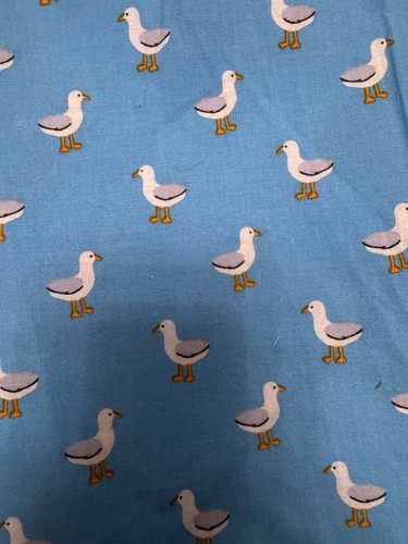 Mtr blue seagull - mtr,