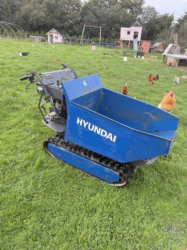 Petrol 500kg payload - petrol,