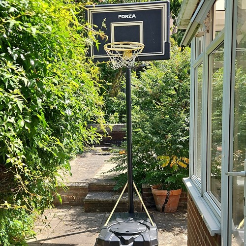 Forza adjustable basketball - forza,