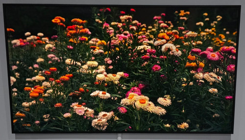 Samsung qe65ls03d 4k qled - samsung,