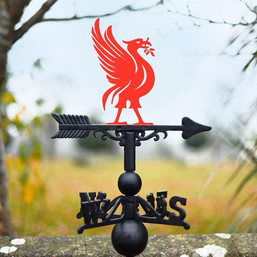 Bright red liver bird - red,