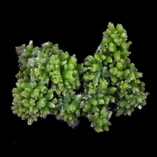 Excellent Green Pyromorphite