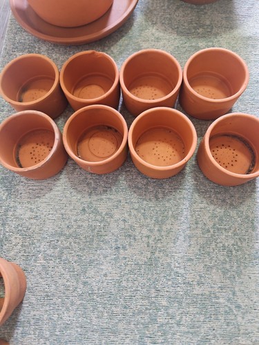 Vintage terracotta pots 8 - vintage, x