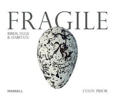 Fragile: Birds, Eggs &