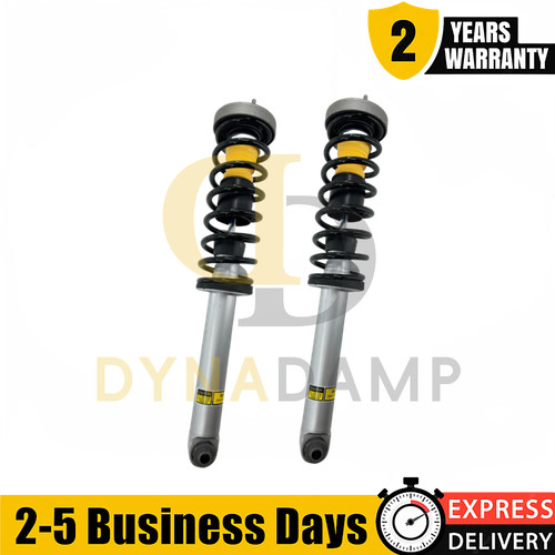 Pair rear shock absorbers - rear,