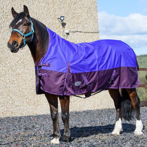 600d lightweight turnout - 600d, horse