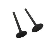 Inlet + Exhaust VALVES for
