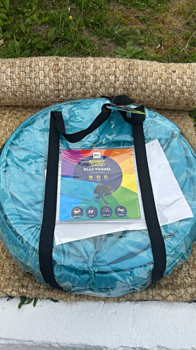 Pets home sunny daze dog - pets,