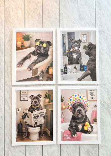 Set staffy dog - dog, photo