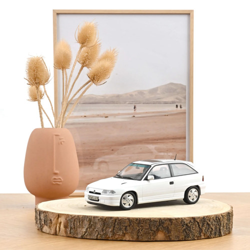 Norev scale diecast - 1/18,