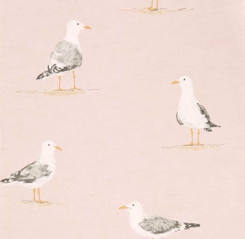 Sanderson shore birds seagull - shore,