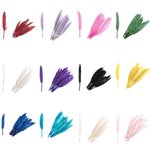Duck feathers with glitter - feathers,