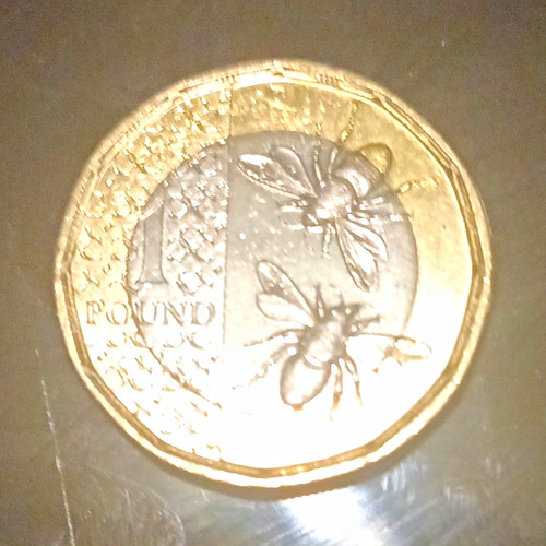 One pound coin bees - one,