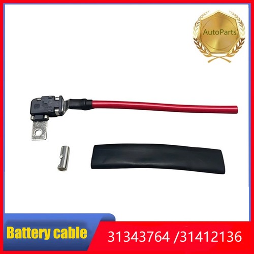 Battery positive fuse head - fuse,