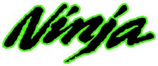 #5312 (2) 2" Kawasaki Ninja