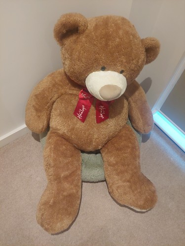 Giant teddy bear - giant, plush