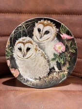 Decorative wall plate Barn owl