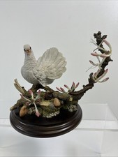 Country Artists Fantail Dove