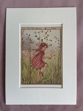 Totter grass flower - ‘totter, grass’