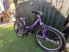 Trek Kids' MT220 Girl's Bike -