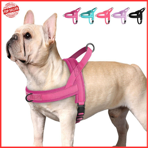 Tactical dog harness - dog, no