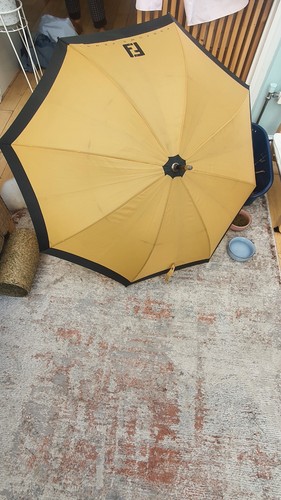Fendi gold and - fendi, umbrella