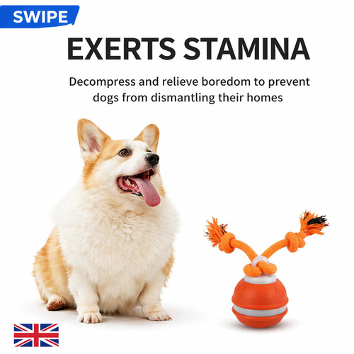 Smart automatic dog - automatic, ball