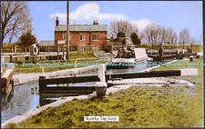 X000365 Buckby Top Lock