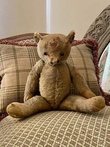 Antique teddy bear - antique,
