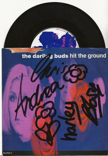 The darling buds hit - the,