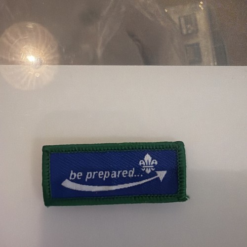 Scouts moving award - scouts,