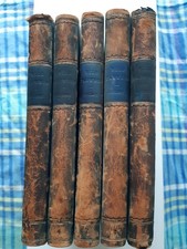 Familiar Wild Flowers.F Edward