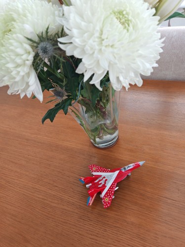 Red mig fighter jet - red,