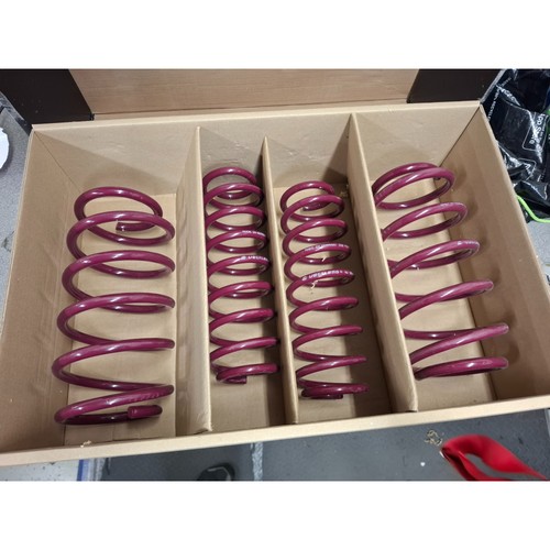 Vogtland sport lowering - vogtland,