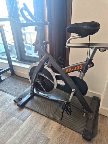 York 300 upright exercise - sb-300,